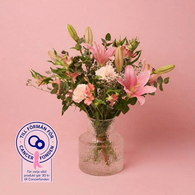 1790268651-1203081-rosa-elegans-mellan-2026-1-1