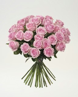 30 rosa premiumrosor