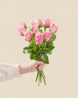 10 rosa rosor