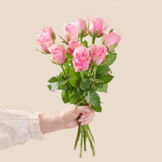 10 rosa rosor