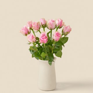 10 rosa rosor