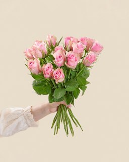 20 rosa rosor