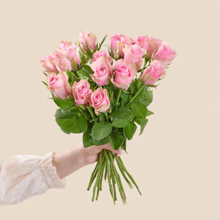 20 rosa rosor