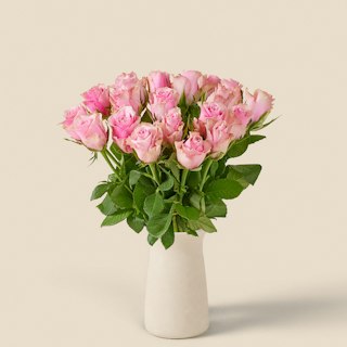 20 rosa rosor