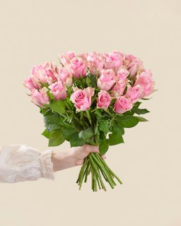 30 rosa rosor