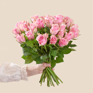 30 rosa rosor