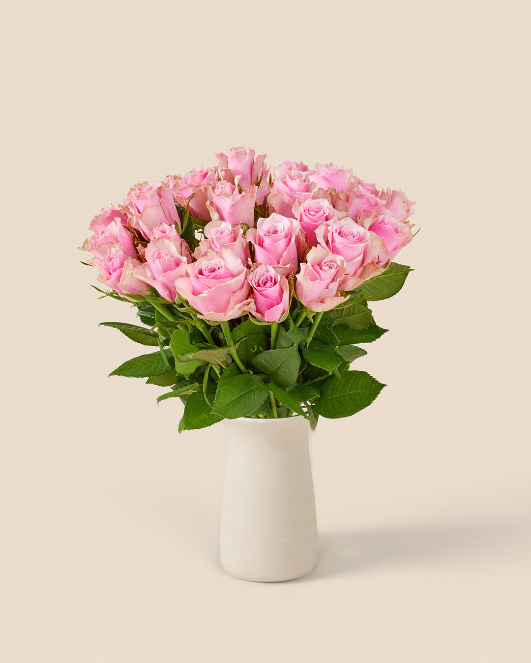 30 rosa rosor