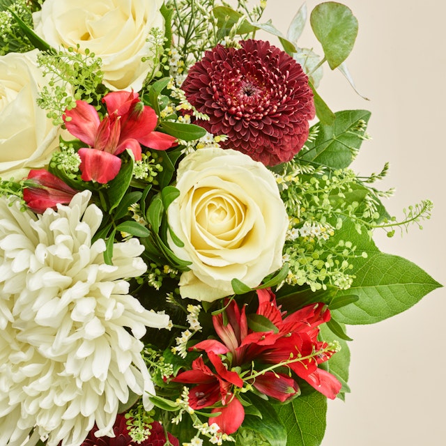 Den til fødselsdagen Premium