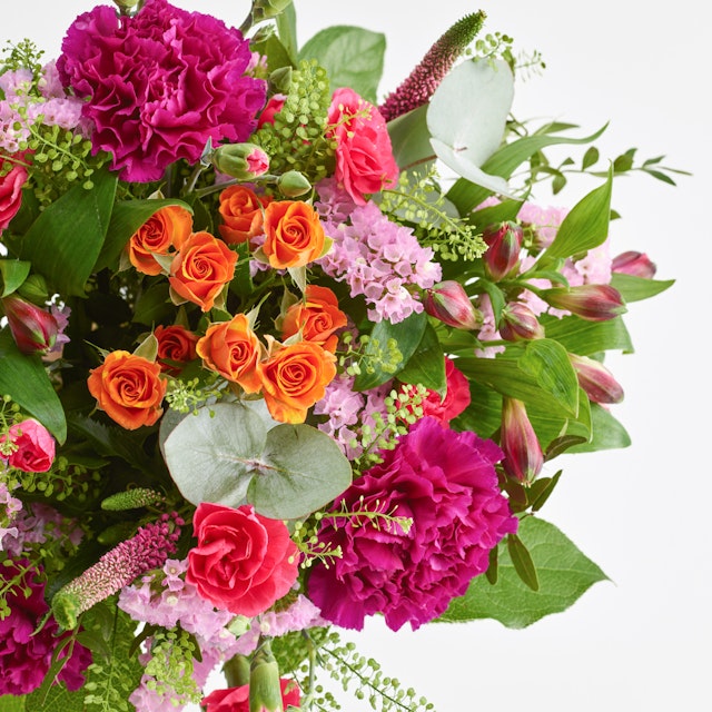 Den farverige Premium