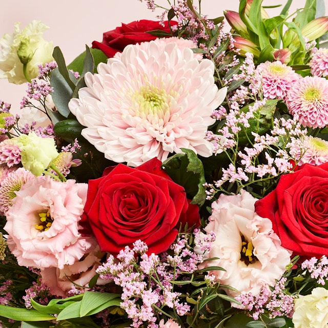 Den betænksomme Premium