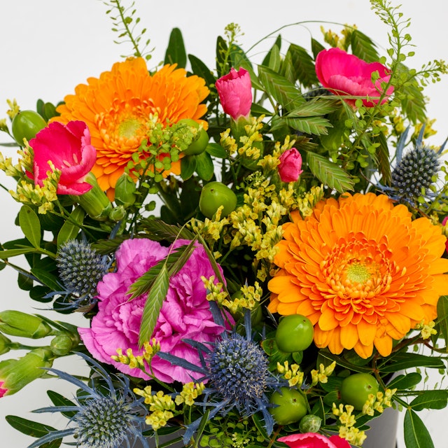 Floristens valg i æske (Multifarvet)