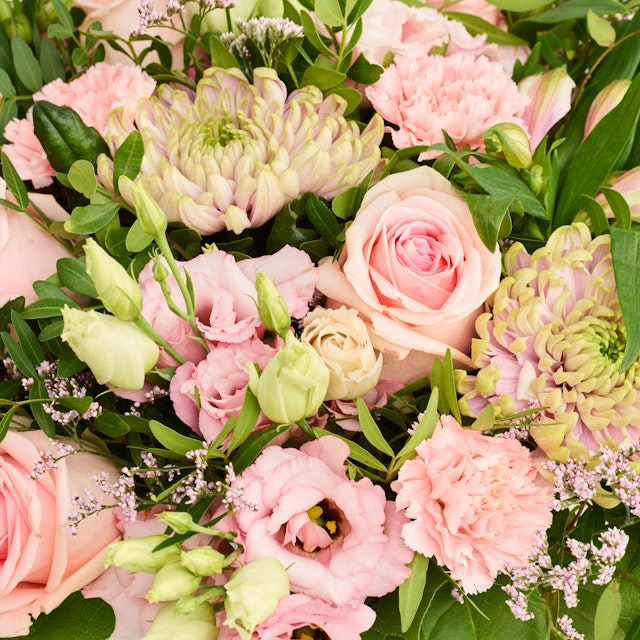 Den helt rigtige Premium