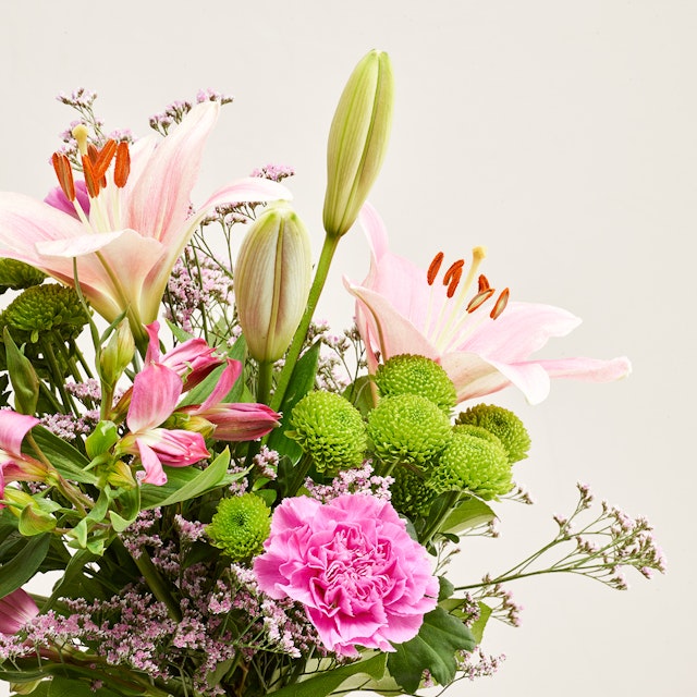 Den fine liljehilsen