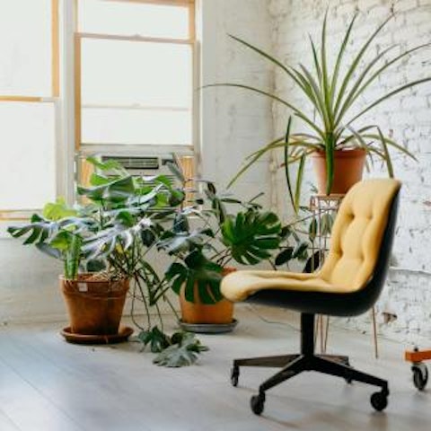 Skab et sundt og inspirerende arbejdsmiljø