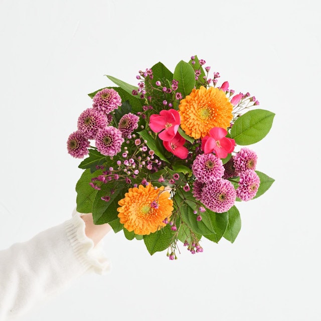 Den farverige hilsen