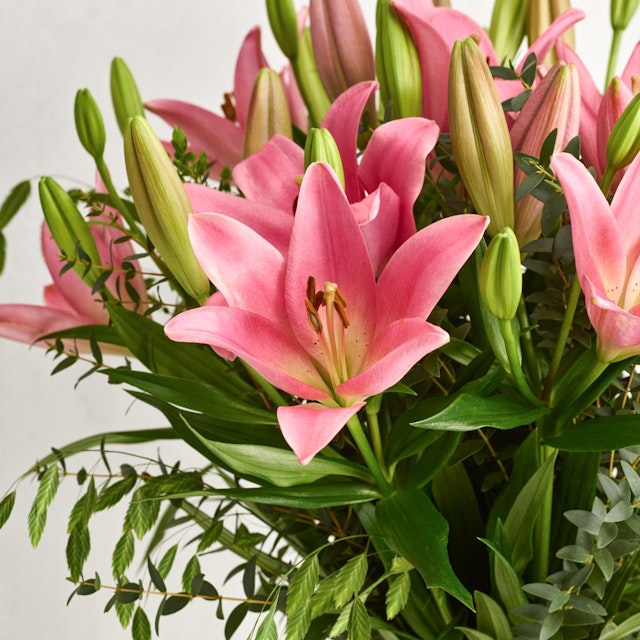 Den smukke lyserøde liljebuket