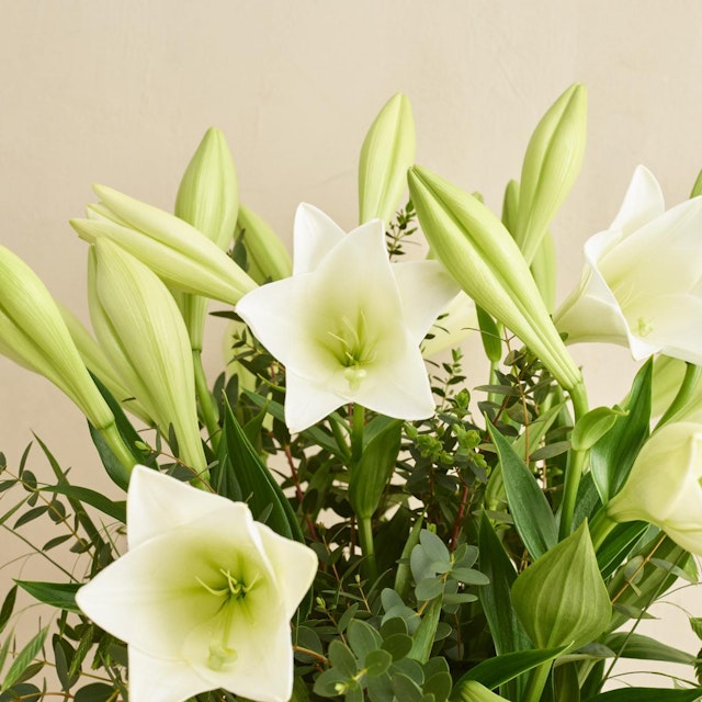 Den smukke hvide liljebuket