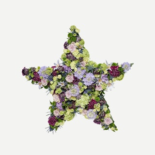 Blomsterstjerne - Et eksklusivt farvel