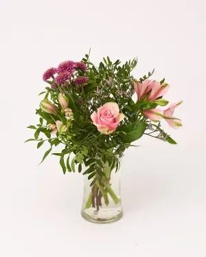 Rosa favorit
