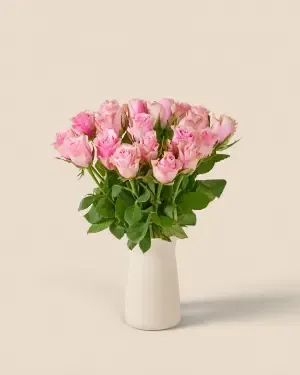 20 rosa rosor
