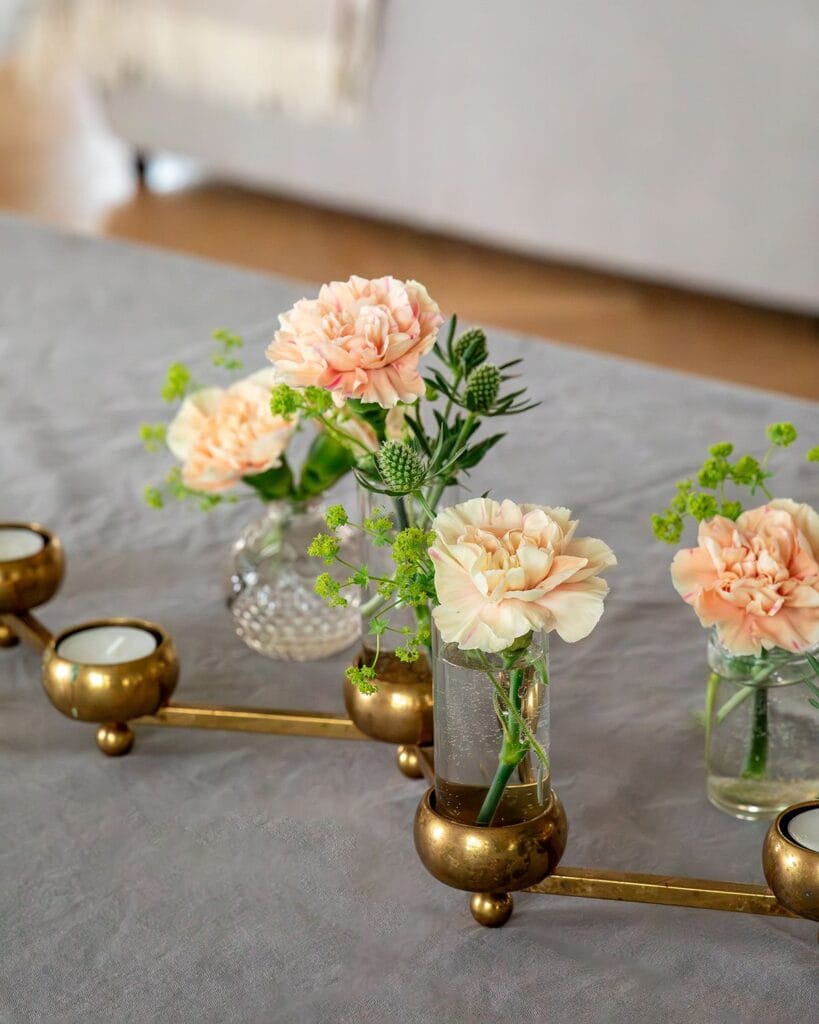 Blomtricket som får nejlikorna att slå ut