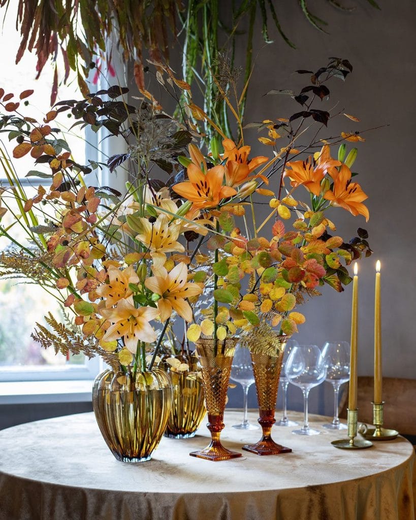 Liljor – Fakta & skötselråd