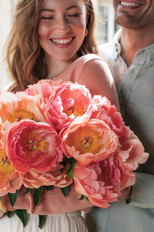 Hur odlar och sköter man pioner i kruka?