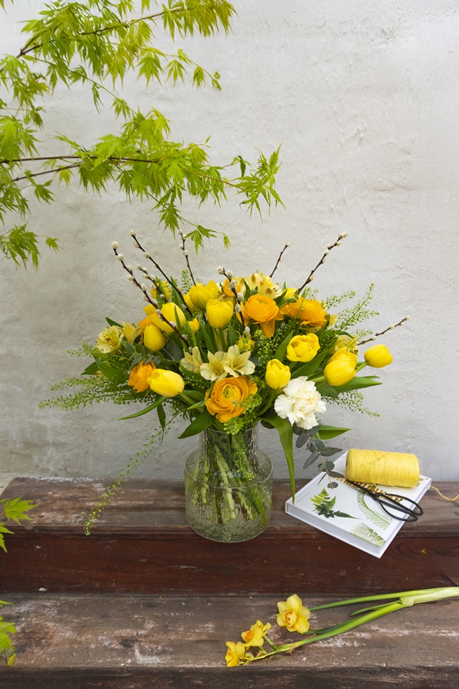 Skötselråd tulpaner