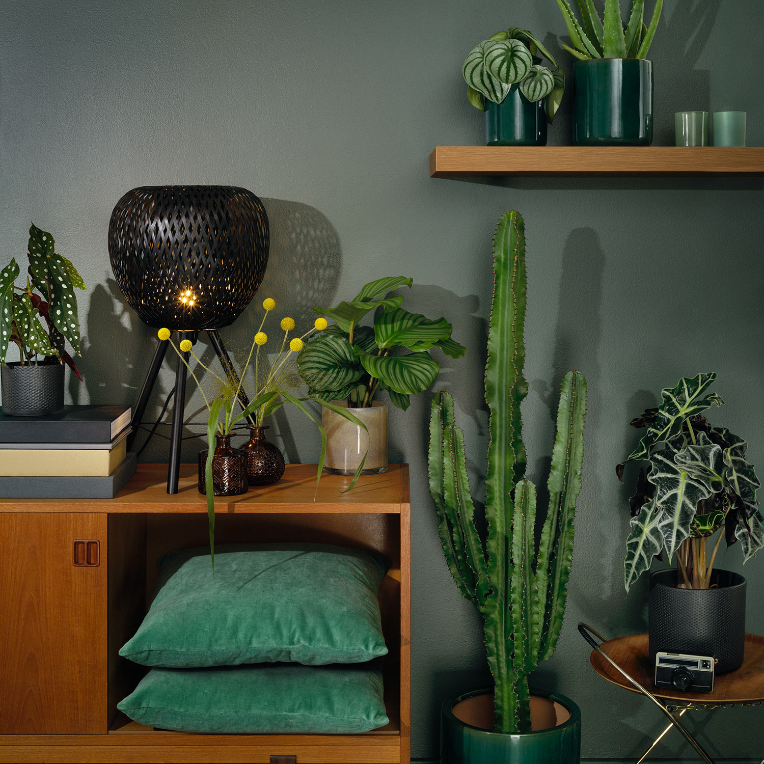 Interflorakollektion_host_instagram.jpg