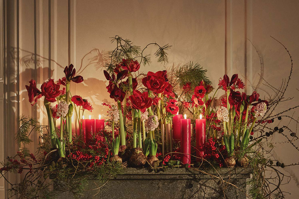 Julens trender 2021 - Sagolika blommor är årets jultrend