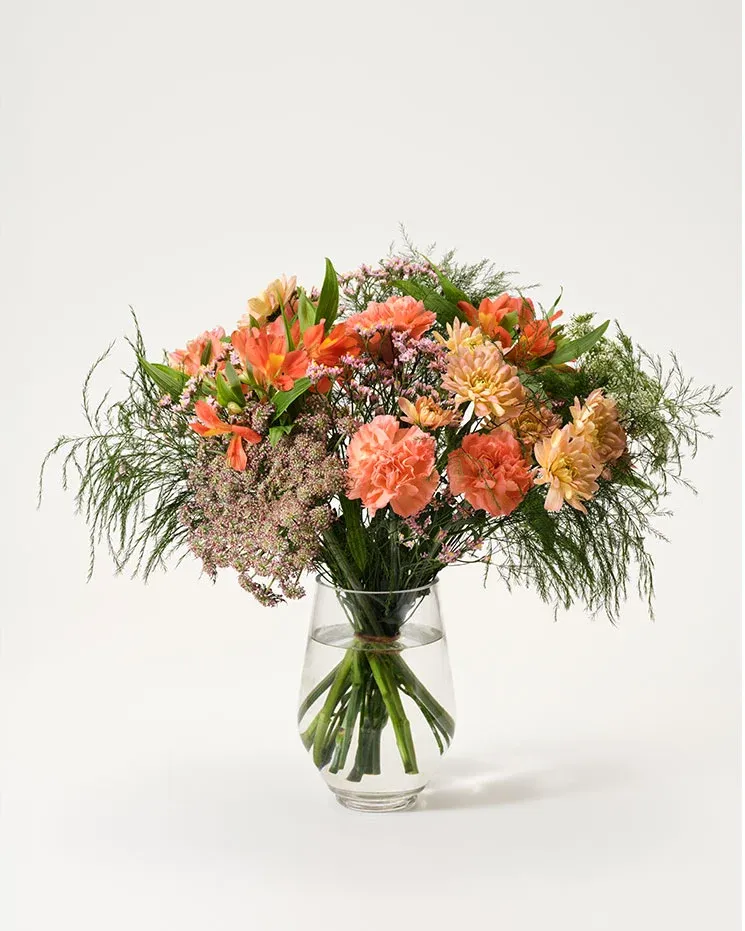 Mera Blomsterglädje