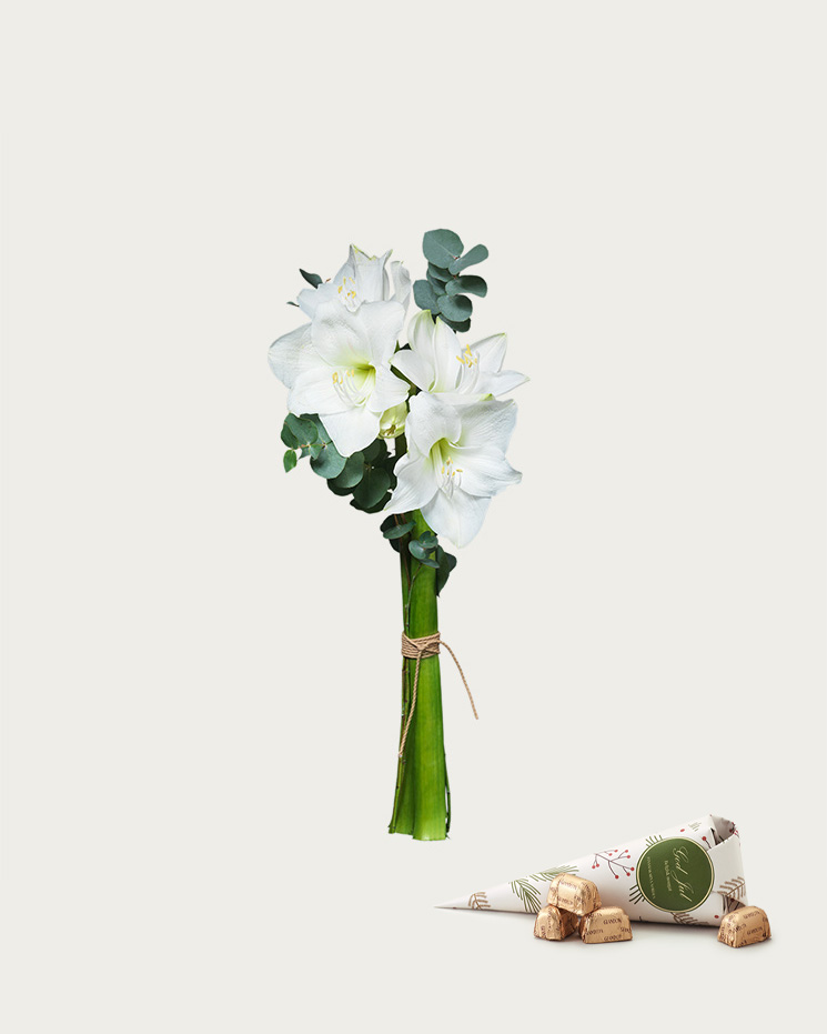 Vinterglädje med julstrut Julblommor Interflora