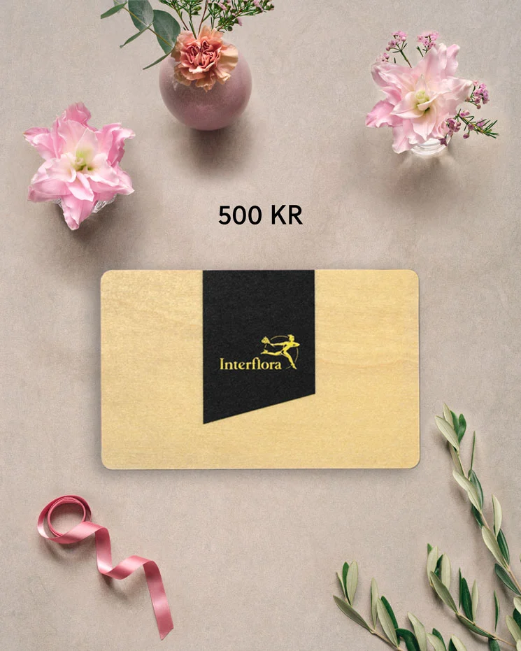 Presentkort 500