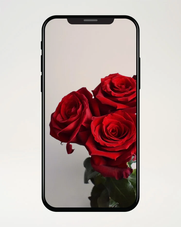3 röda sms-rosor
