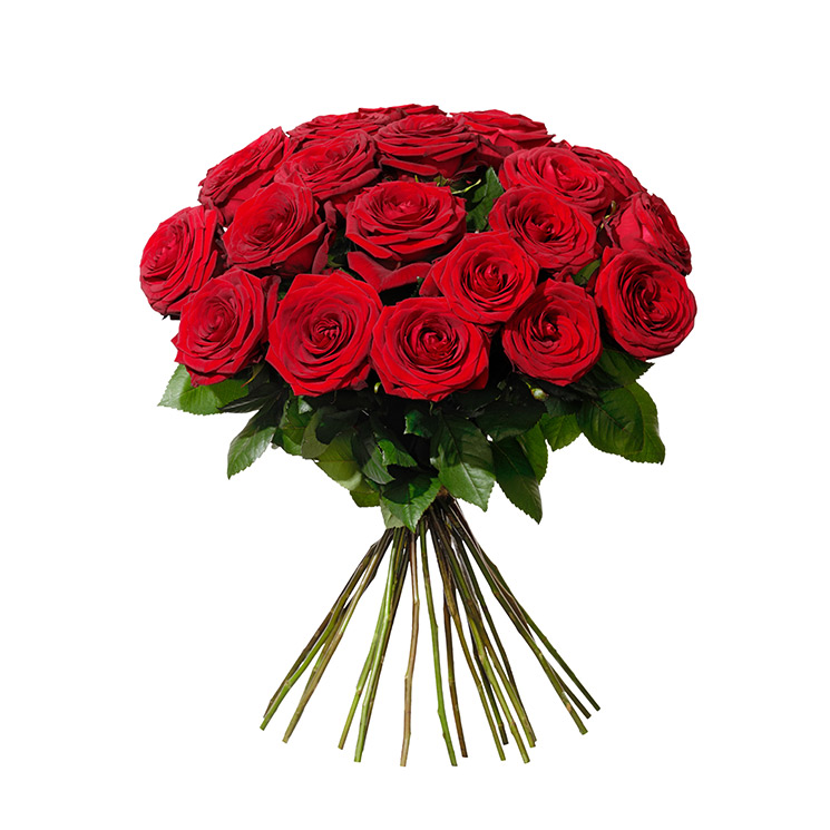 interflora.se | 20 RED ROSES