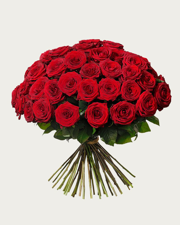 Rundbunden blombukett med 50 stycken röda rosor. Finns att beställa hos Interflora.