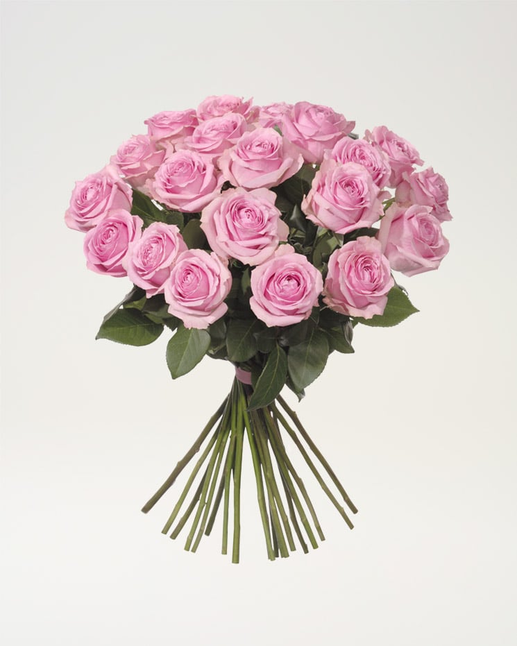 Rundbunden bukett med 20 stycken rosa rosor. Finns att beställa hos Interflora.