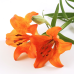 Liljor - snittblommor - Interflora